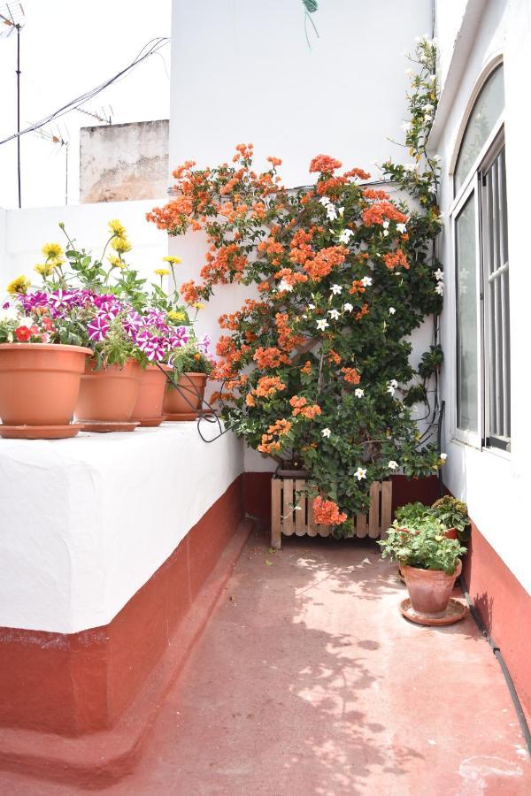 Apartamento La Discusion De Veedor 12 Cádiz Exterior foto
